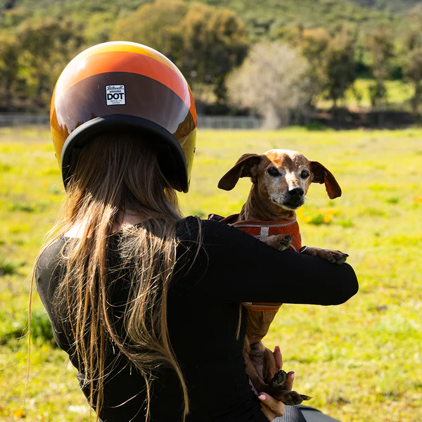 Шлем Biltwell BONANZA - 3/4 цвет - юбилейный 20 лет - размер M - 1001-5118-203